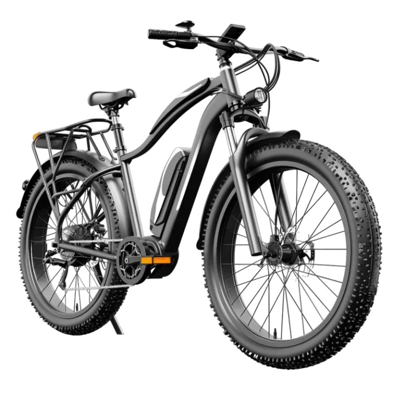 Electric Bike rental Los Gigantes